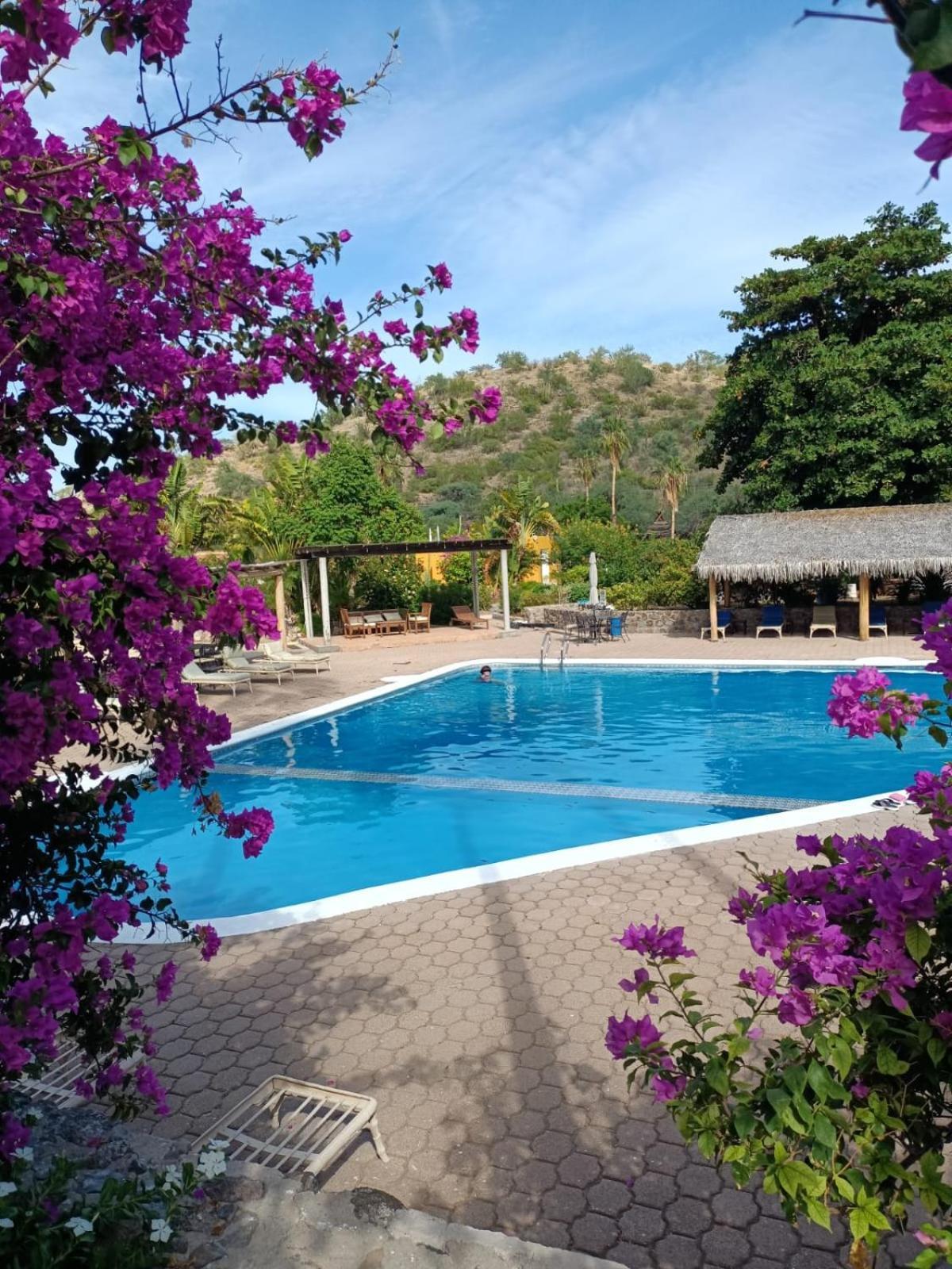 Tripui Hotel Puerto Escondido  Exterior photo